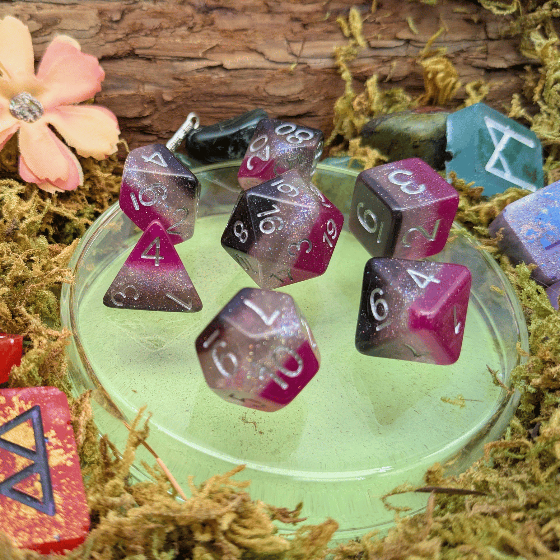 Asexual Pride Flag Dice Set