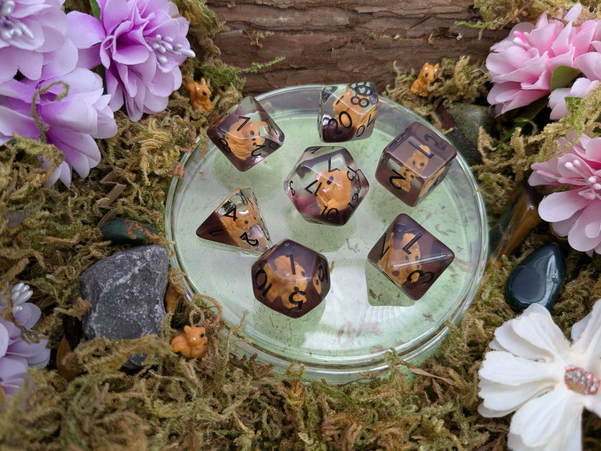 Squirrels Inclusion Dice Set