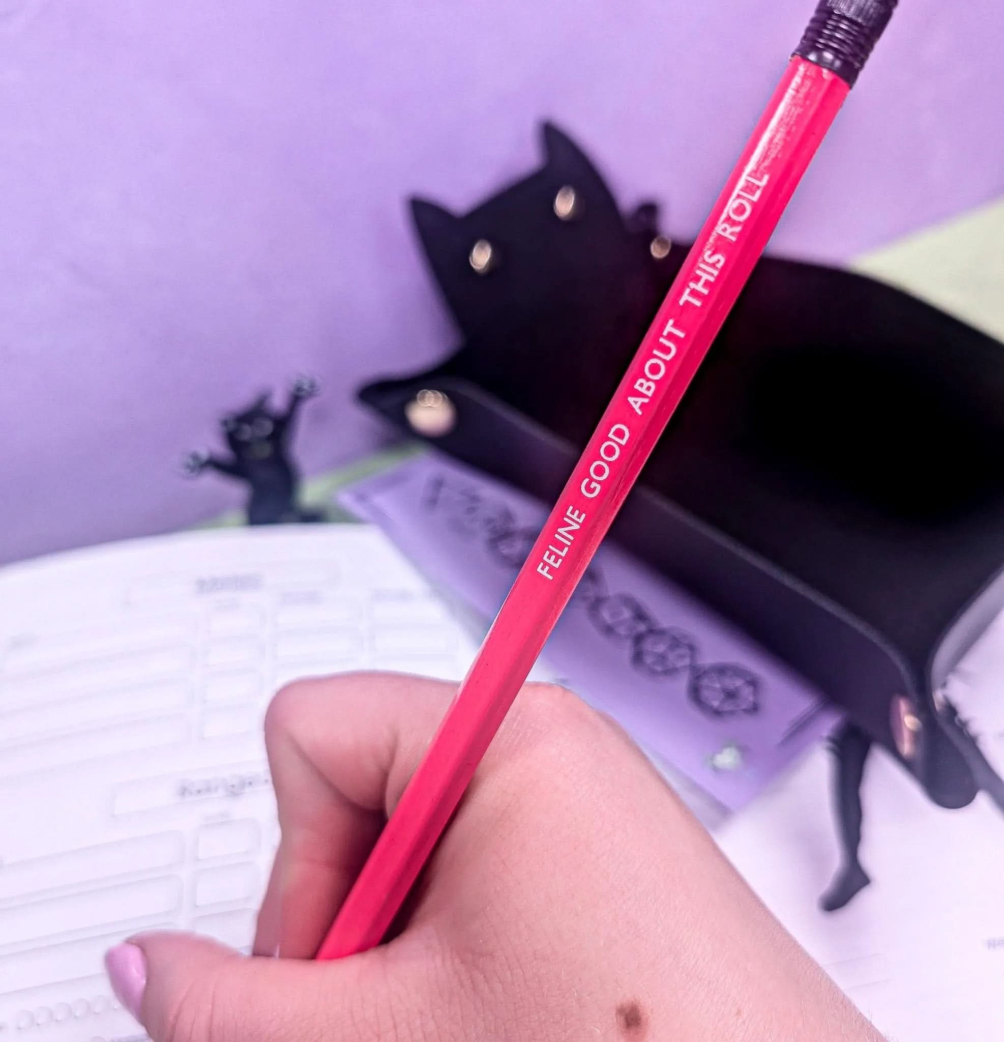 TTRPG Cat Pencils | Dungeon meowster | Perfect for Cats and Catacombs | DM gifts | TTRPG Gift | RPG Stationary | RPG Accesories - MysteryDiceGoblins