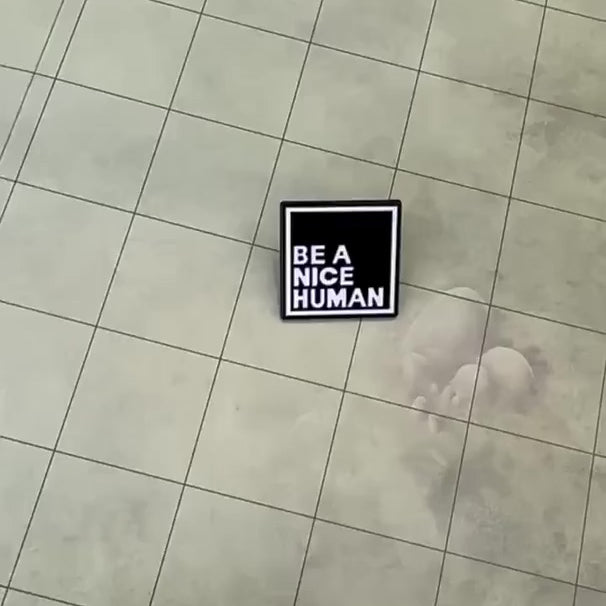 Be a nice Human' Pin