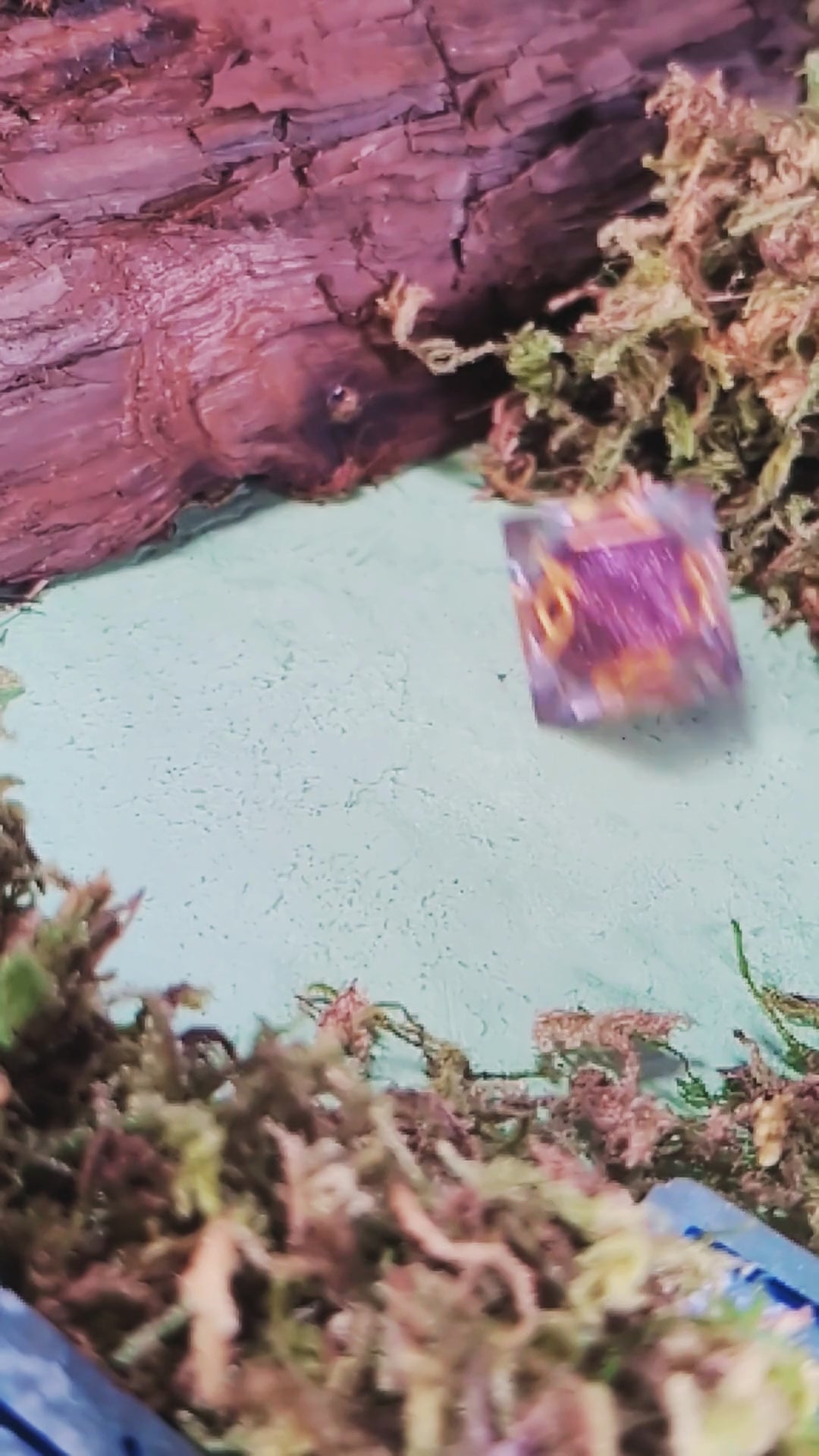 Enchanted Rose Liquid Core Dice