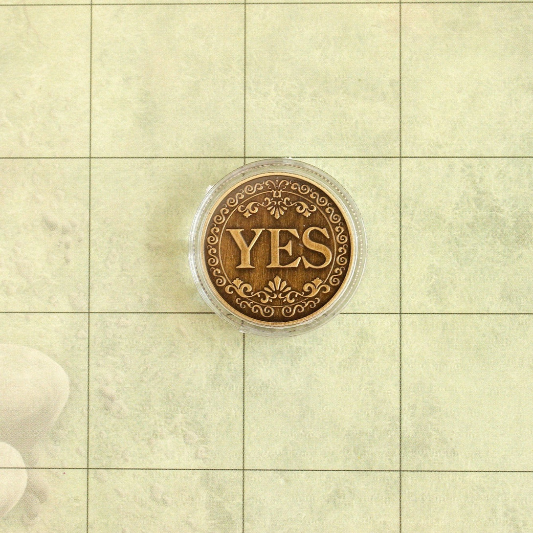 Bronze Polished Plastic Yes No Dnd Classes Coin | TTRPG Coin for Dungeons & Dragons DnD Pathfinder | Gaming Accessory - MysteryDiceGoblins