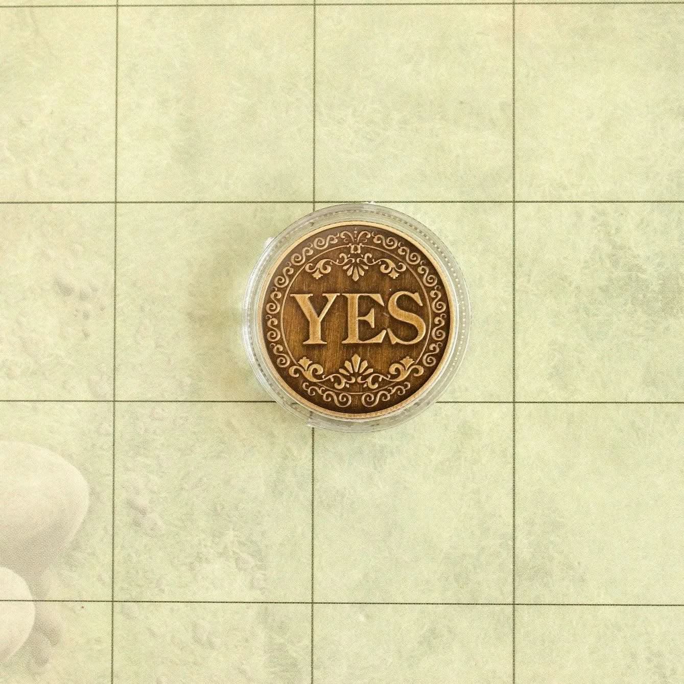 Bronze Polished Plastic Yes No TTRPG  Classes Coin | TTRPG Coin for Dungeons & Dragons TTRPG  Pathfinder | Gaming Accessory - MysteryDiceGoblins